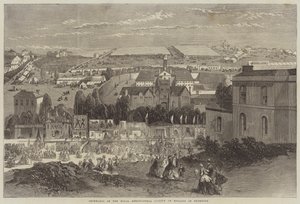 Mostre della Royal Agricultural Society of England a Plymouth da Richard Principal Leitch